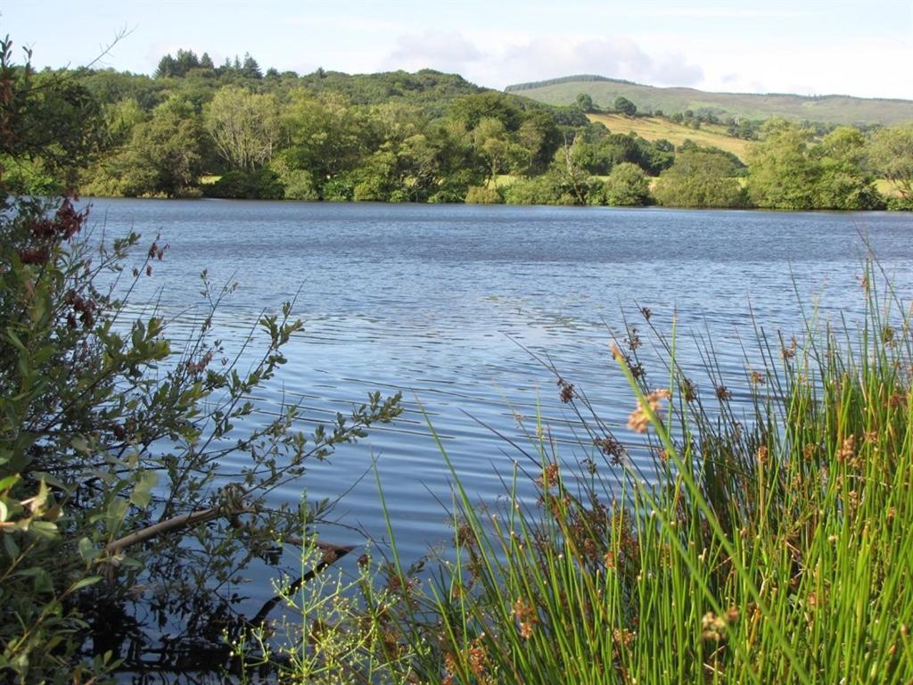 Lake House Dunmanway Εξωτερικό φωτογραφία