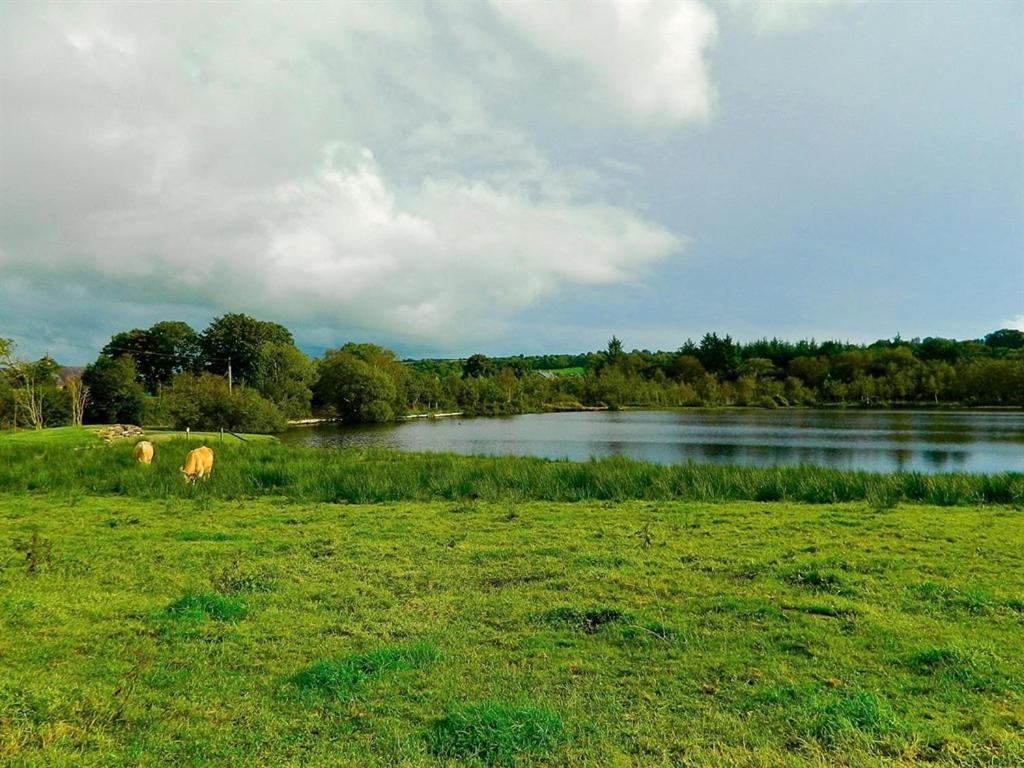 Lake House Dunmanway Εξωτερικό φωτογραφία